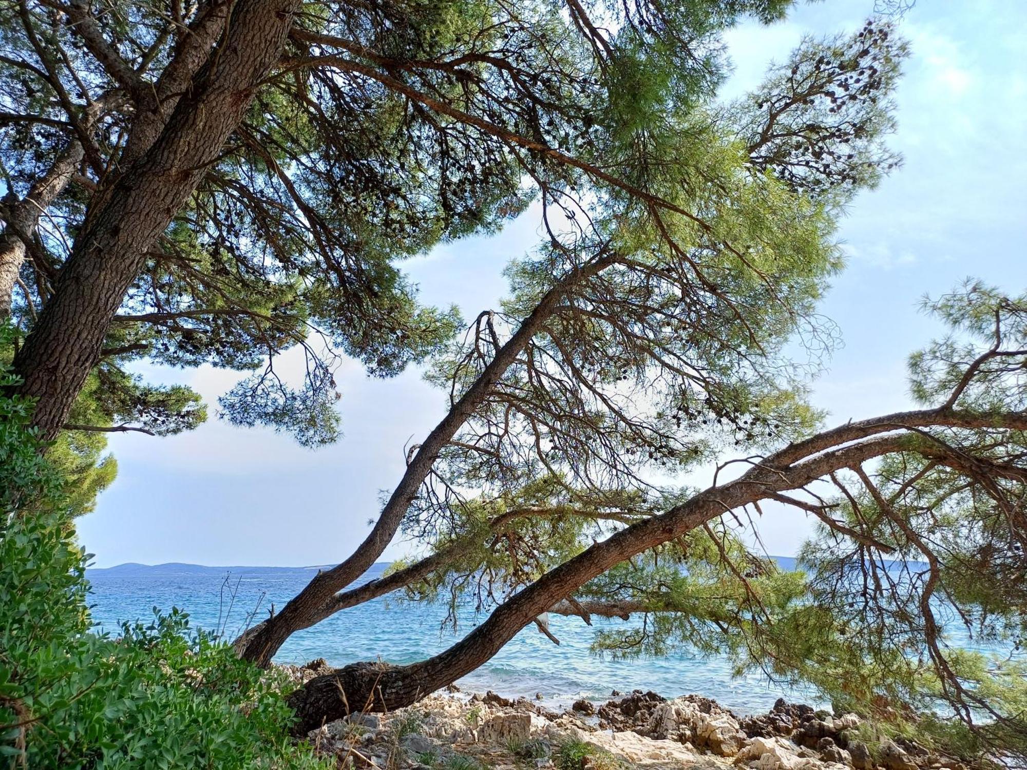 Apartments Jaksic Trogir Bagian luar foto