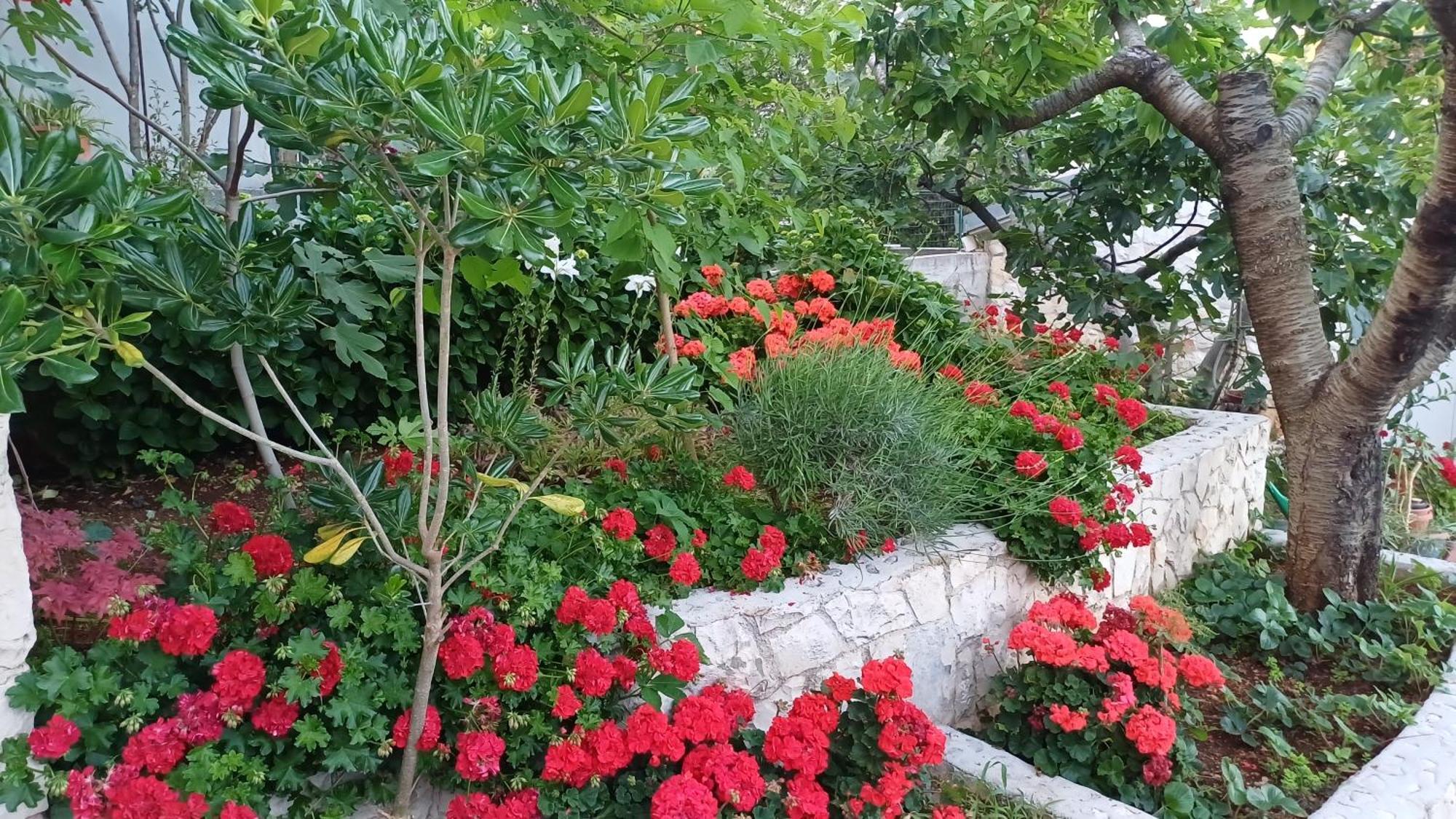 Apartments Jaksic Trogir Bagian luar foto
